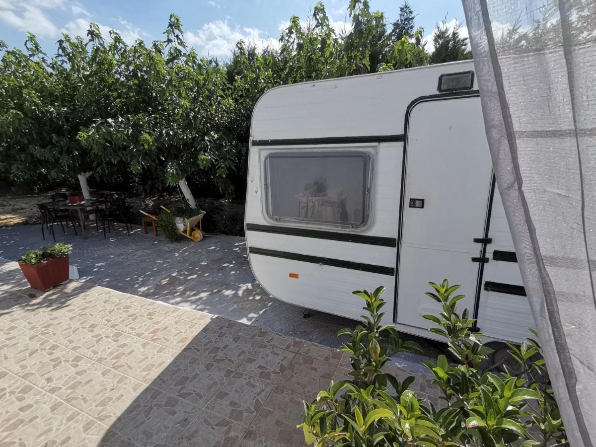 Green Garden Caravan Hotel Agrilia Exterior foto